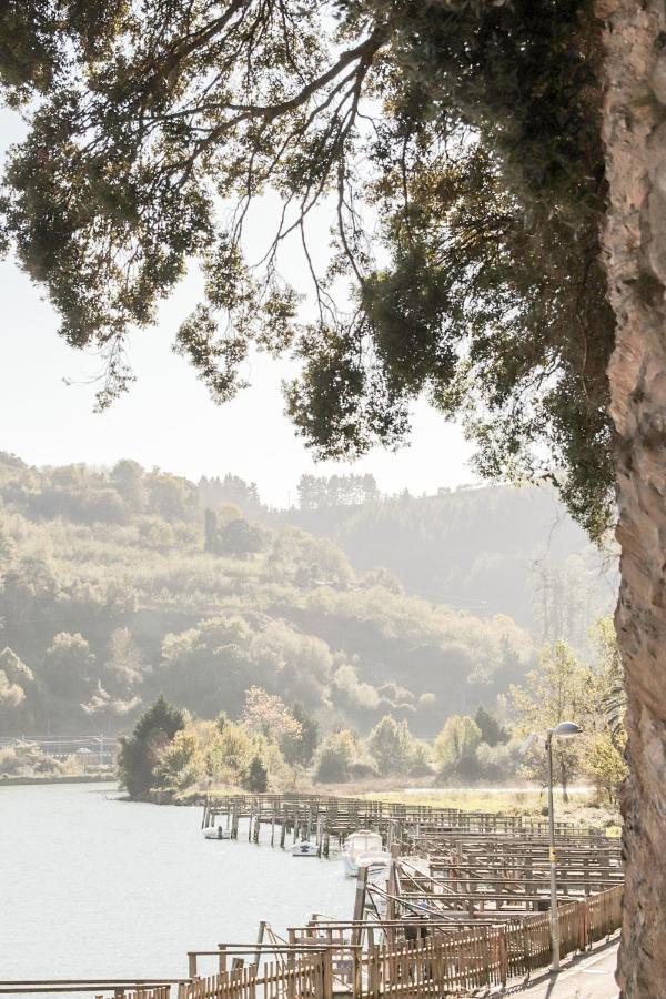 Arriola Txiki Pension Itziar Buitenkant foto